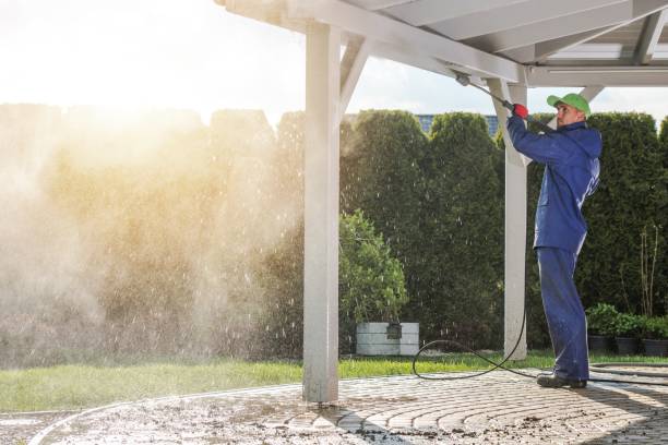Best Dumpster Area Cleaning  in Mineola, NY